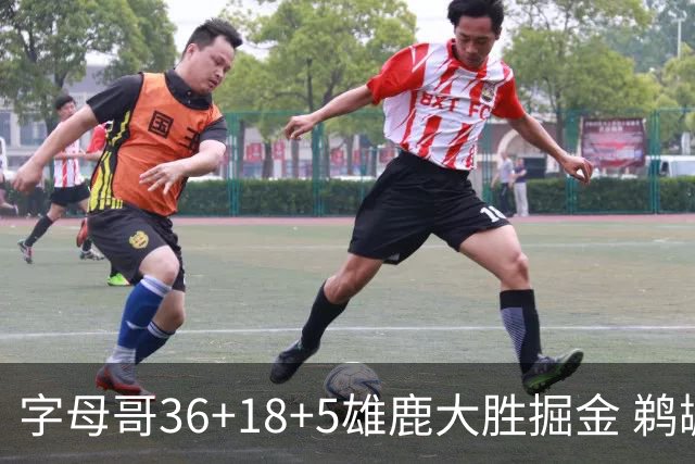 字母哥36+18+5雄鹿大胜掘金 鹈鹕送灰熊9连败